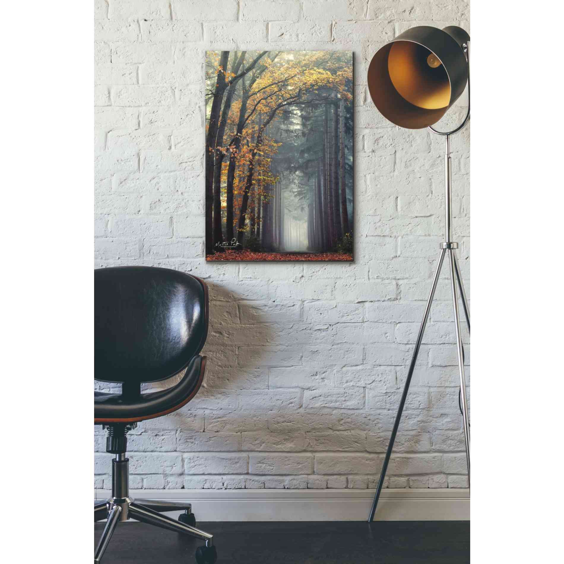 'To Another World' by Martin Podt, Canvas Wall Art,18 x 26