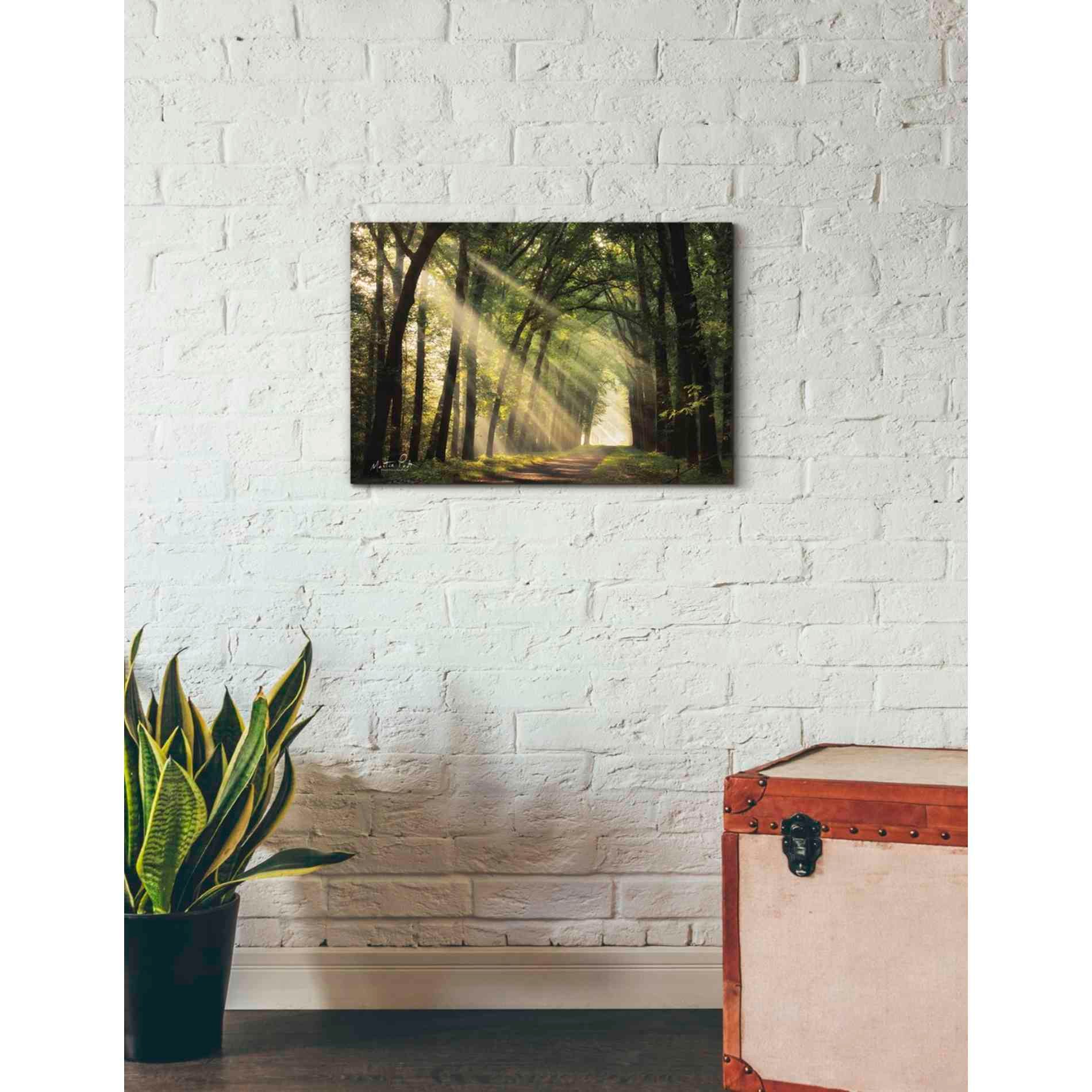 'The Light of Lochem' by Martin Podt, Canvas Wall Art,26 x 18