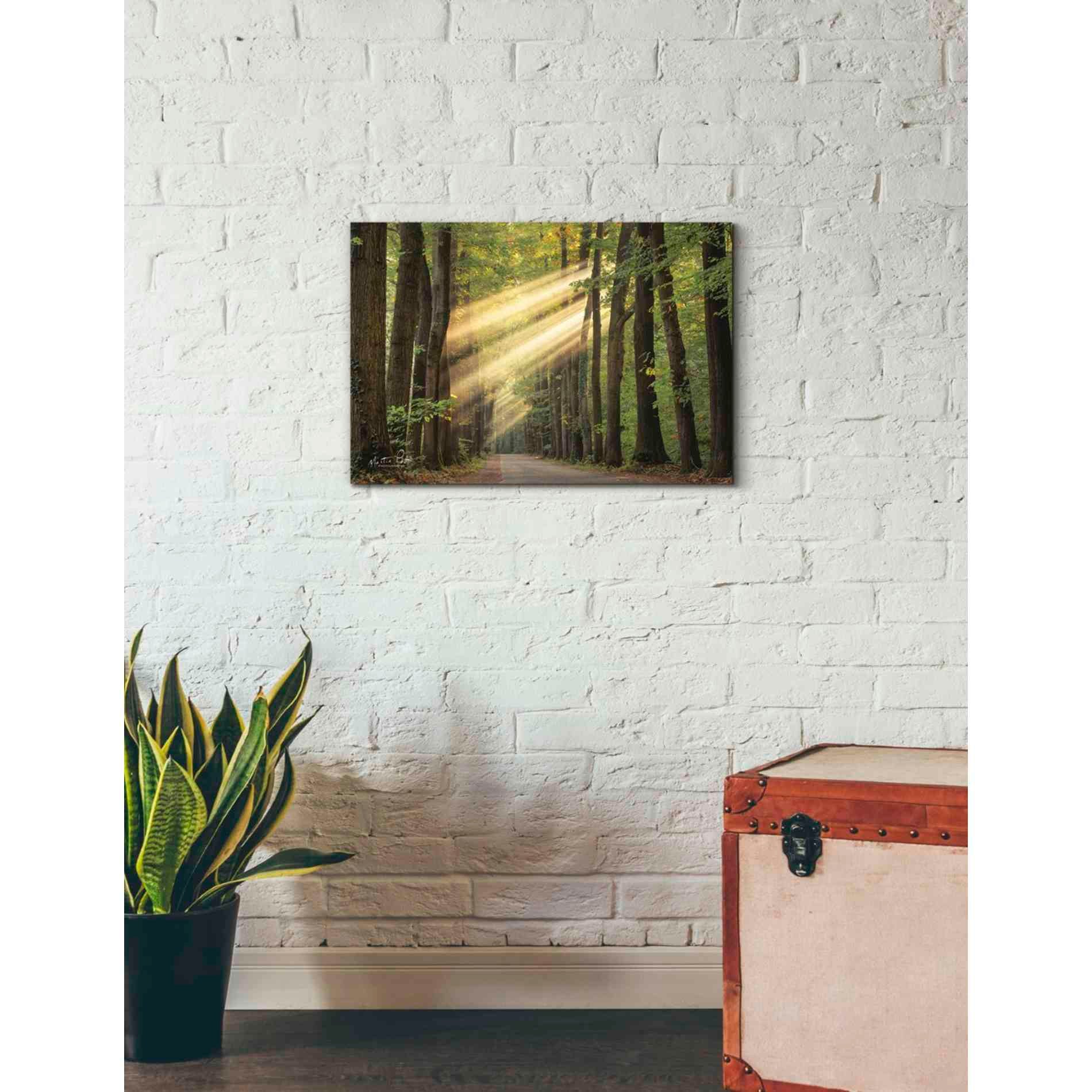 'Rayzor Light' by Martin Podt, Canvas Wall Art,26 x 18