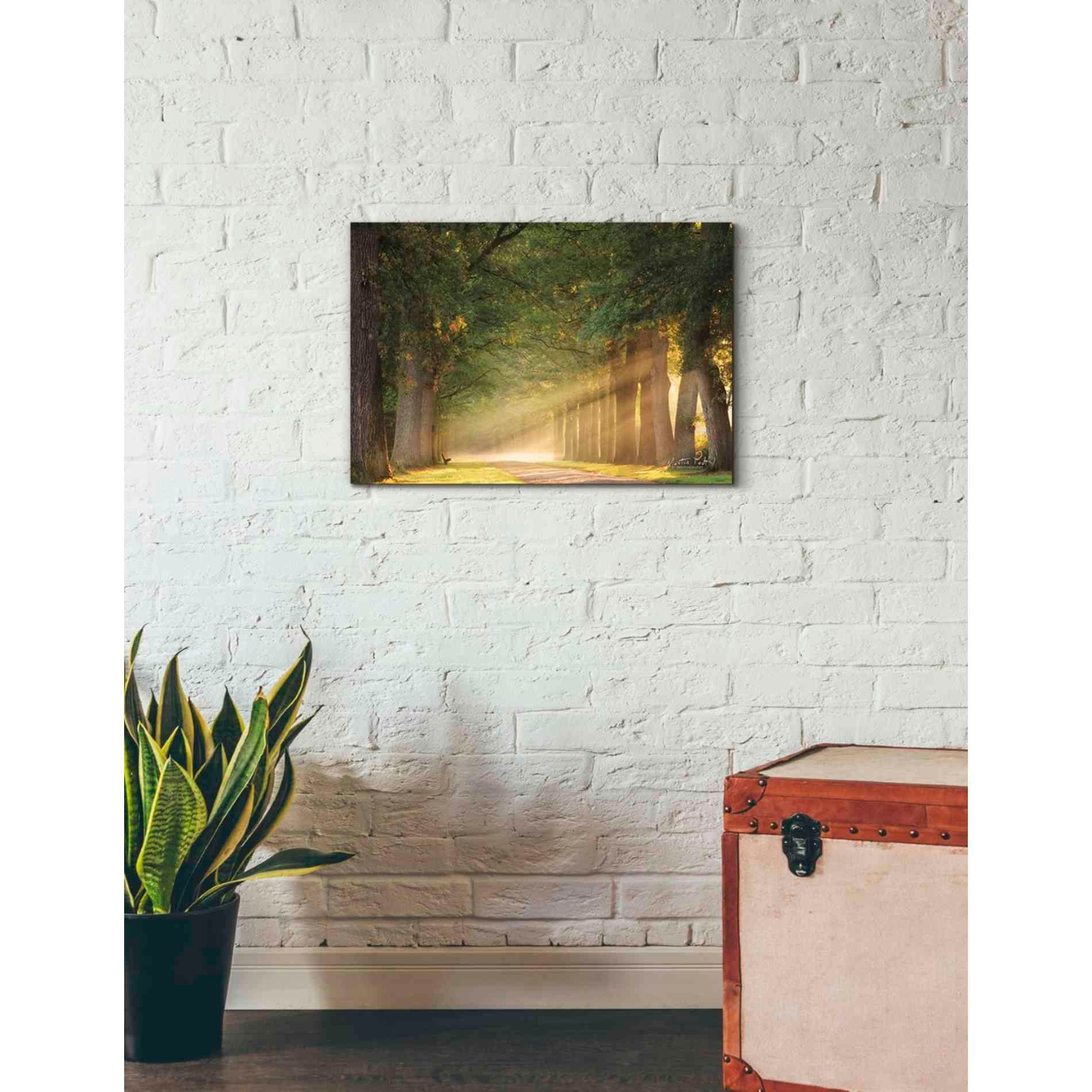 'Perfect Place to Sit' by Martin Podt, Canvas Wall Art,26 x 18