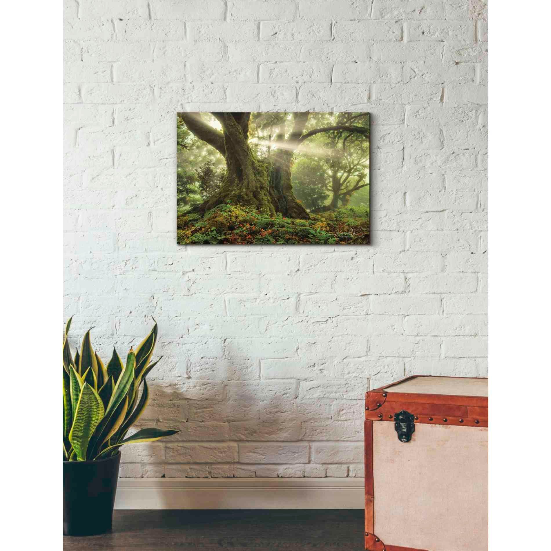 'One-Two Tree' by Martin Podt, Canvas Wall Art,26 x 18