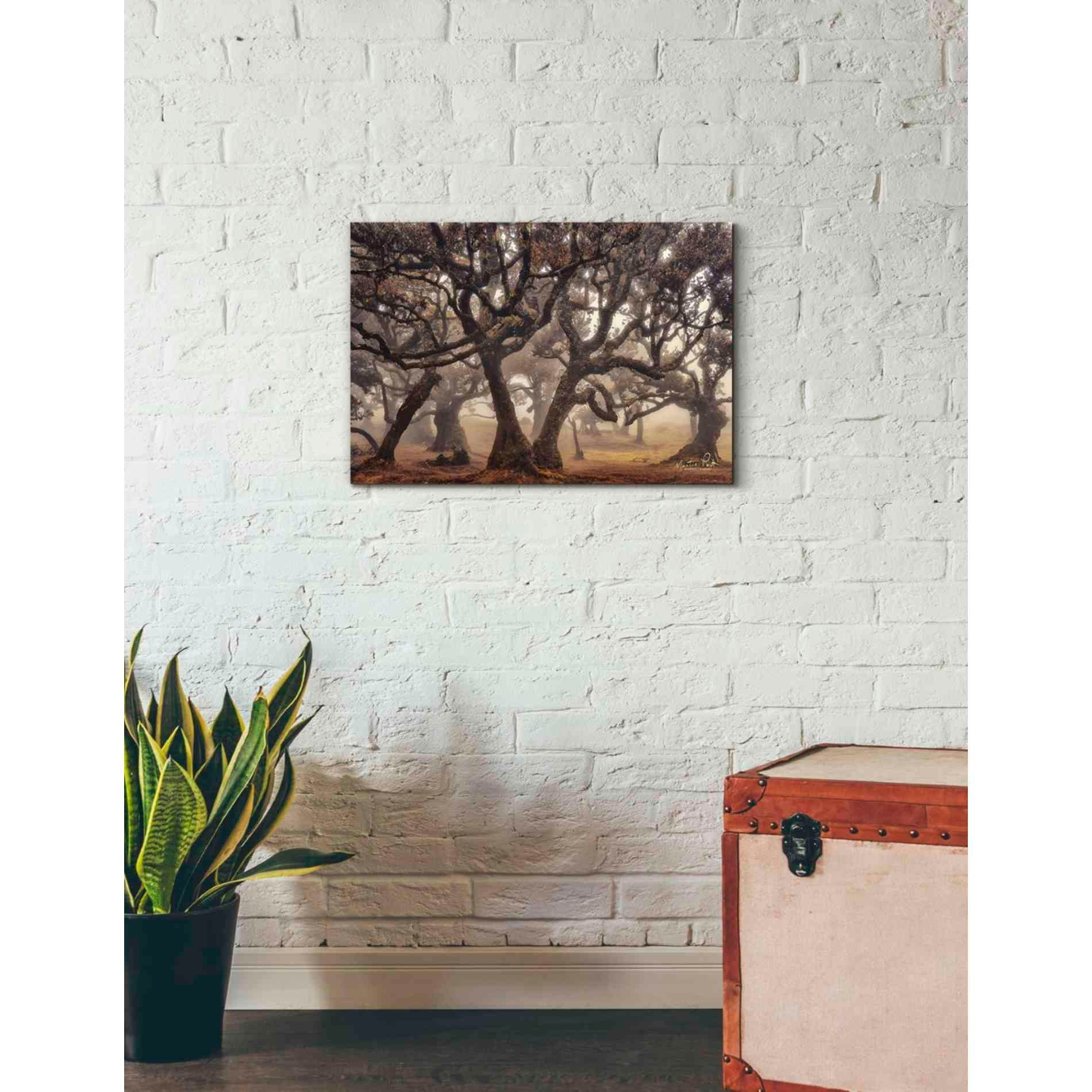 'The Hidden Truth' by Martin Podt, Canvas Wall Art,26 x 18