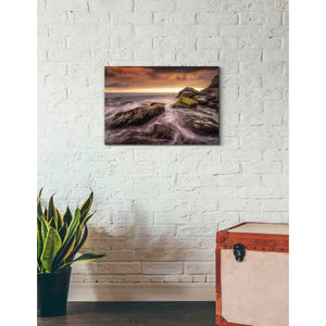 'Simplicity' by Martin Podt, Canvas Wall Art,26 x 18