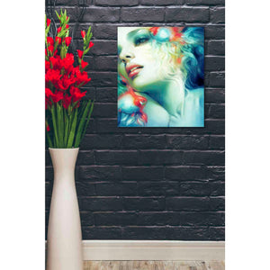 'Scale' by Anna Dittman, Canvas Wall Art,20 x 24