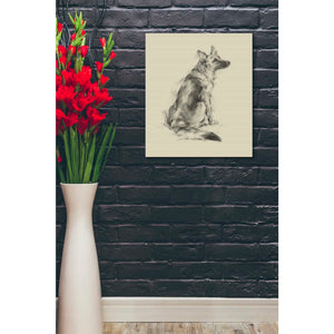 'Puppy Dog Eyes V' by Ethan Harper Canvas Wall Art,20 x 24