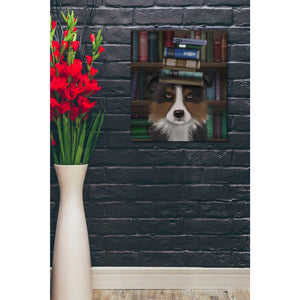 'Border Collie, Tricolour, and Books,' by Fab Funky, Giclee Canvas Wall Art