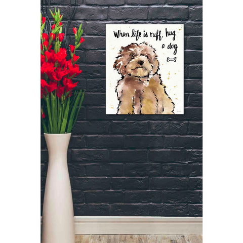 Image of 'Strike a Paws XIII' by Anne Tavoletti, Canvas Wall Art,20 x 24