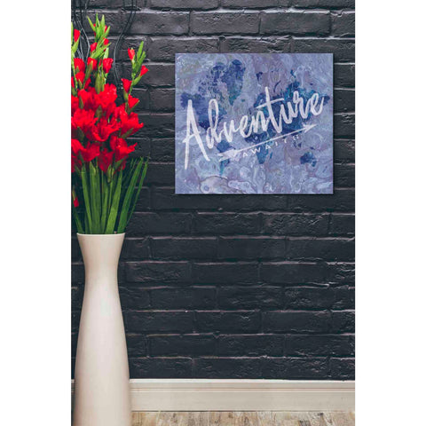 Image of 'Adventure' by Cindy Jacobs, Canvas Wall Art,24 x 20