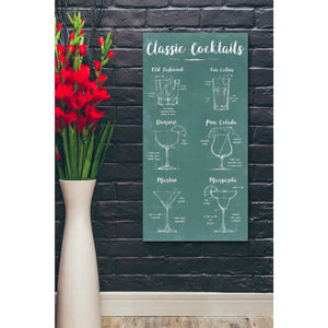 'Mixology Infograph' by Ethan Harper Canvas Wall Art,20 x 40