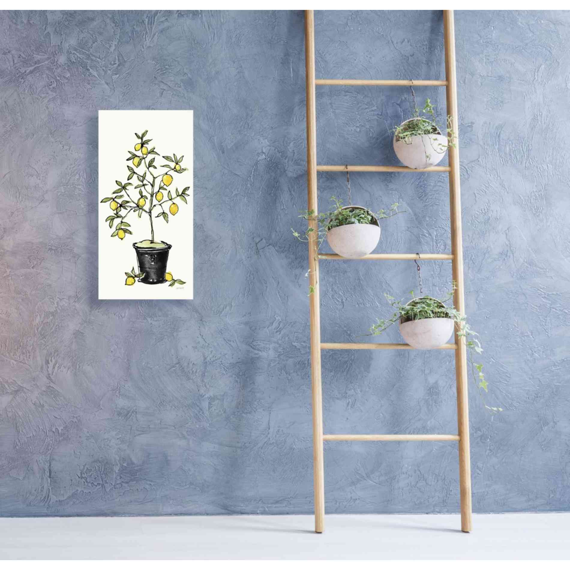 'Citron V' by Anne Tavoletti, Canvas Wall Art,20 x 40