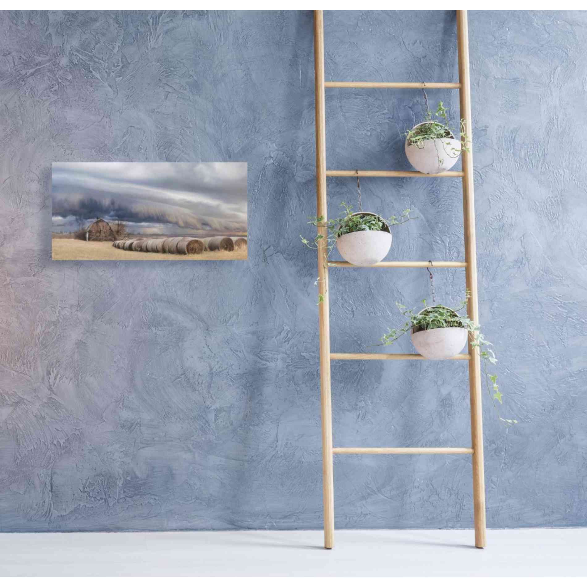 'Tornado Warning' by Lori Deiter, Canvas Wall Art,40 x 20