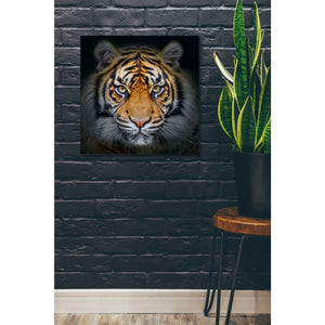 'Wild Side' Giclee Canvas Wall Art