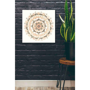 'Blush Mandala' by Danhui Nai, Canvas Wall Art,26 x 26