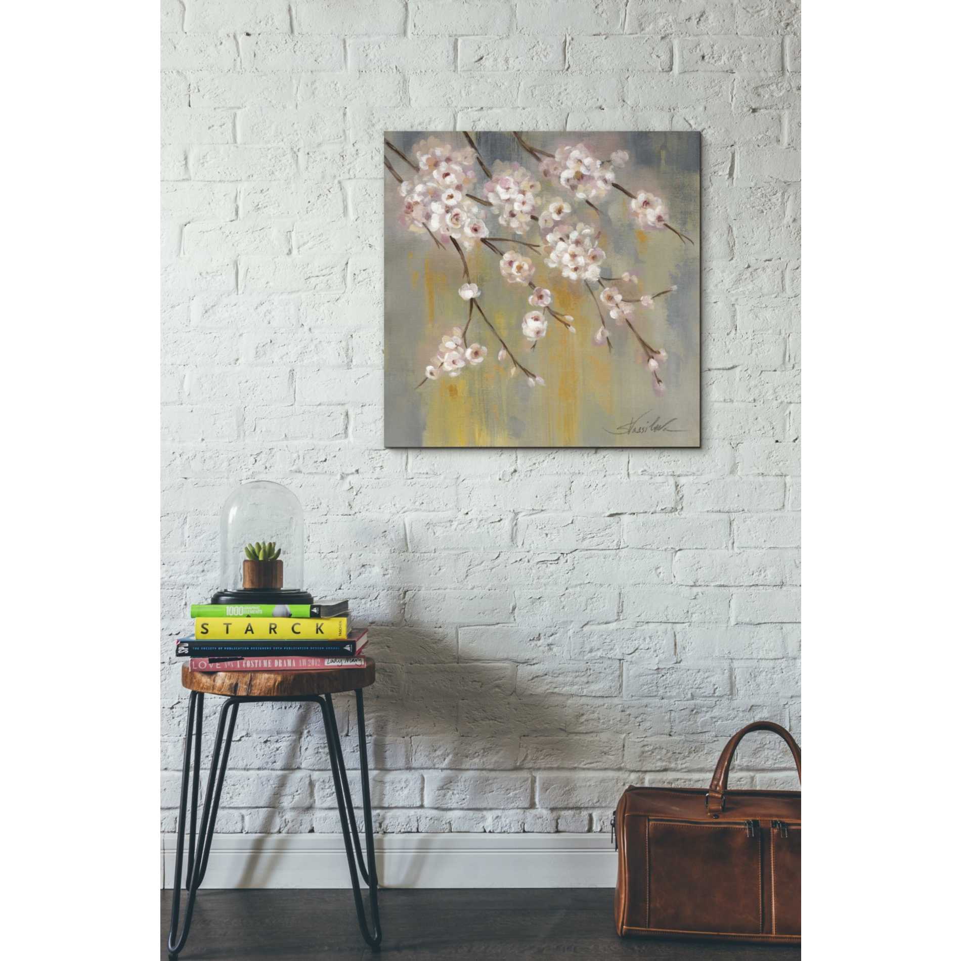 'Cherry Cloud II' by Silvia Vassileva, Canvas Wall Art,26 x 26