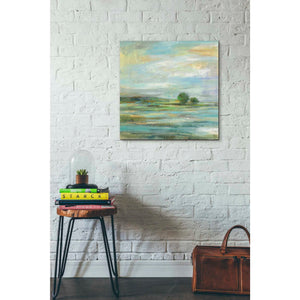 'Spring' by Silvia Vassileva, Canvas Wall Art,26 x 26