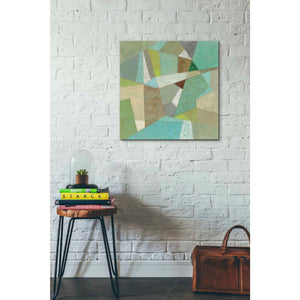 'Spa Geo Metric' by Silvia Vassileva, Canvas Wall Art,26 x 26