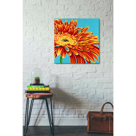 Image of 'Color Bursts I' by Carolee Vitaletti, Giclee Canvas Wall Art