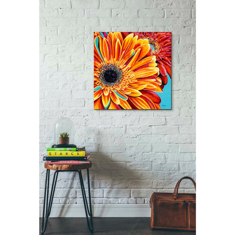 Image of 'Color Bursts II' by Carolee Vitaletti, Giclee Canvas Wall Art