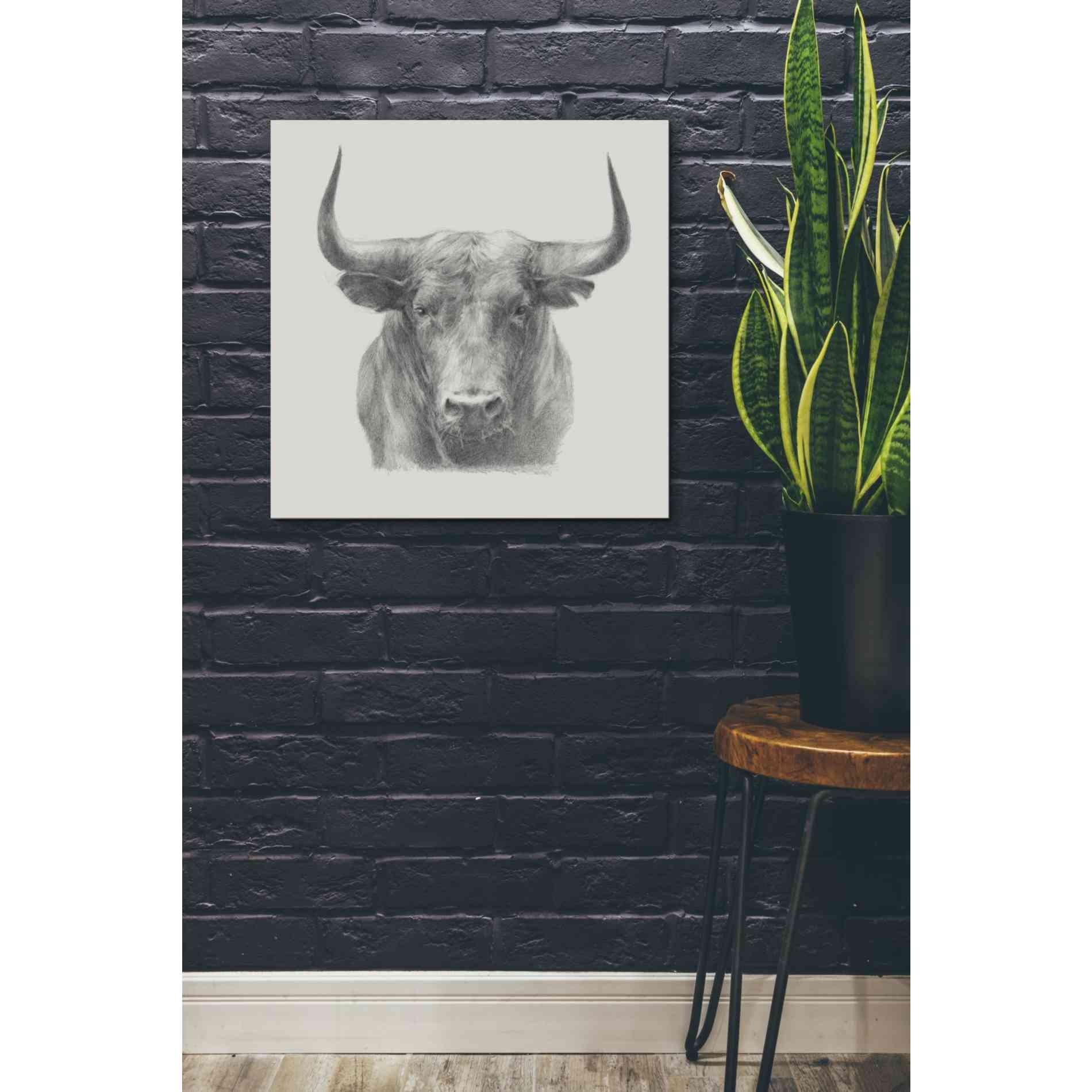 'Black Bull' by Ethan Harper, Canvas Wall Art,26 x 26