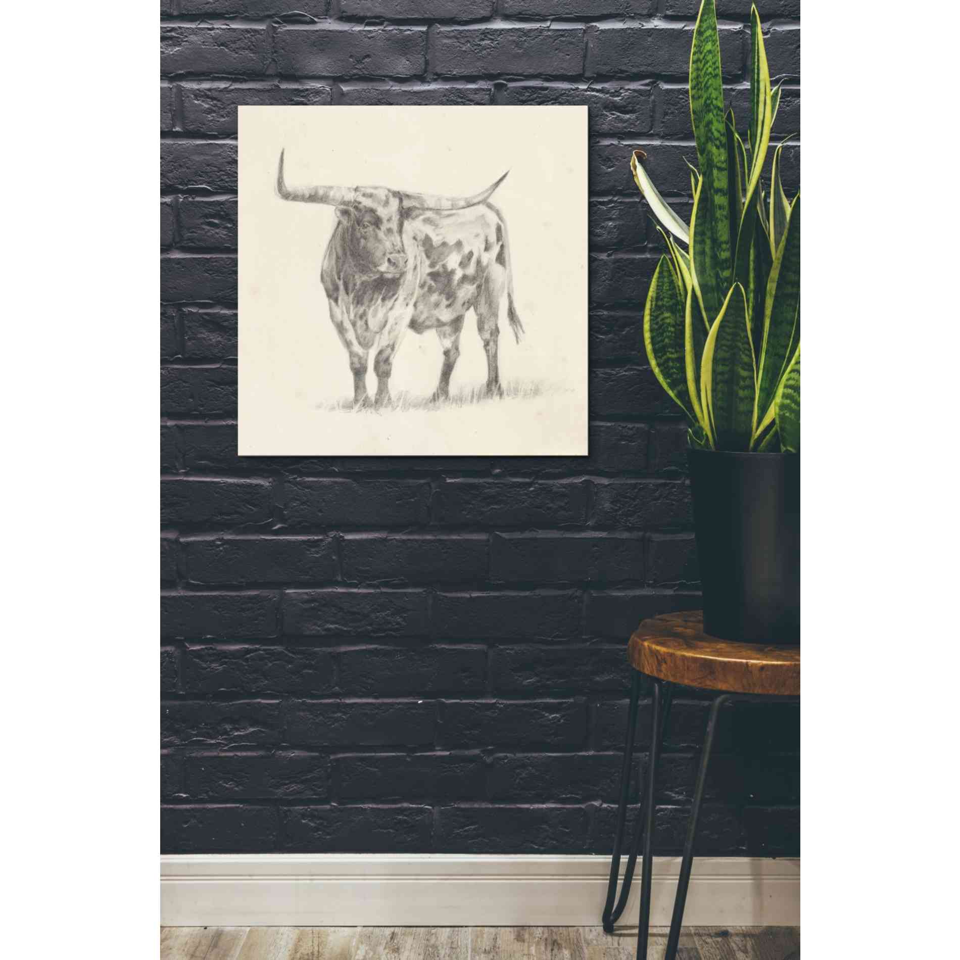 'Longhorn Steer Sketch II' by Ethan Harper, Canvas Wall Art,26 x 26