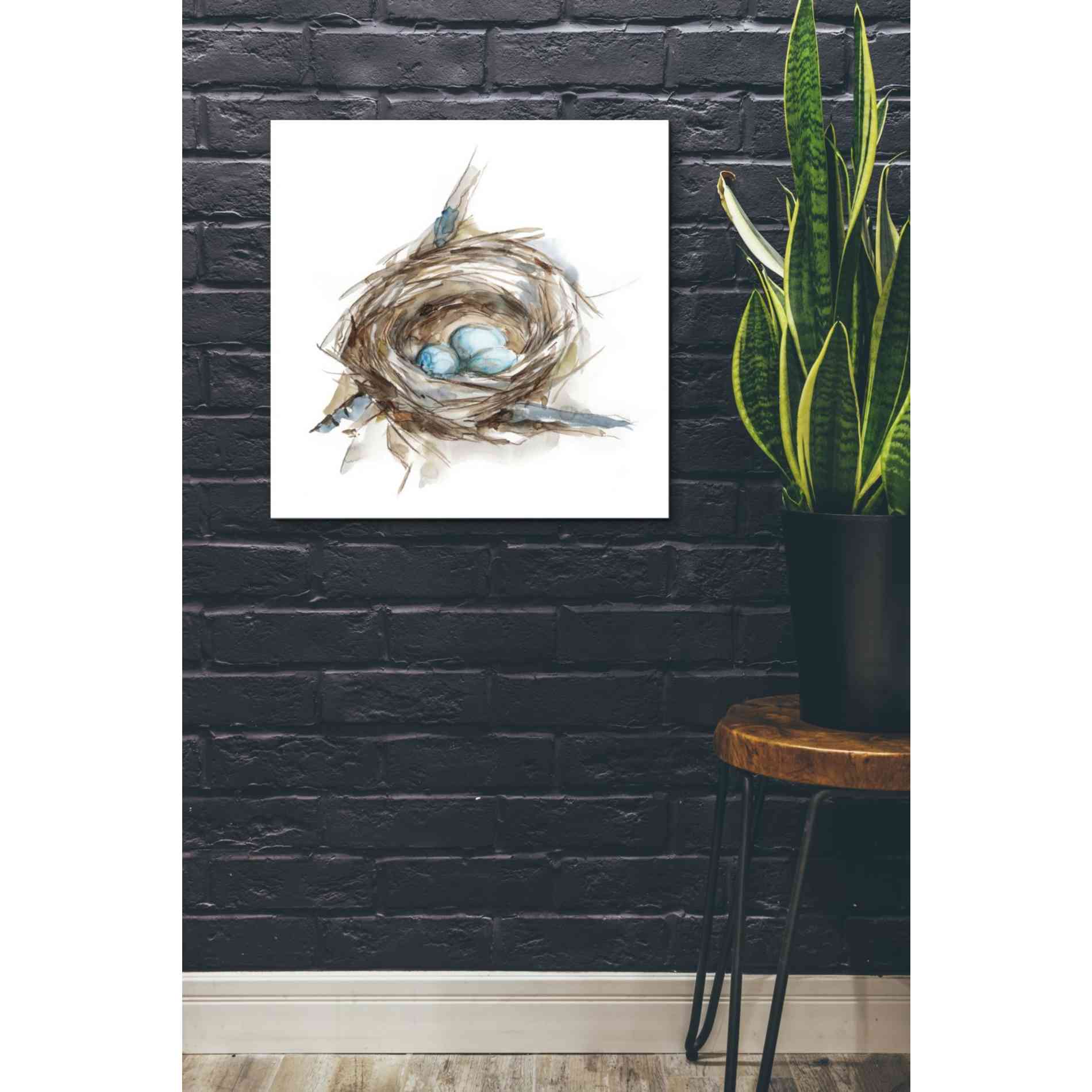 'Bird Nest Study II' by Ethan Harper, Canvas Wall Art,26 x 26