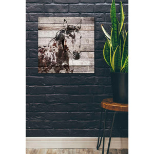 'Poly 2' by Irena Orlov, Canvas Wall Art,26 x 26