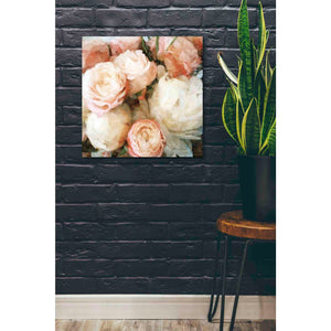 'English Rose Garden' by Bluebird Barn, Canvas Wall Art,26 x 26