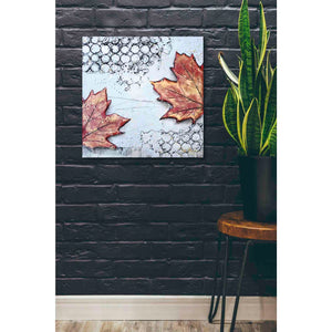 'Channeling Fall 3' by Britt Hallowell, Canvas Wall Art,26 x 26
