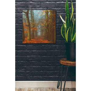 'Path of The Mystics' by Lars van de Goor, Giclee Canvas Wall Art