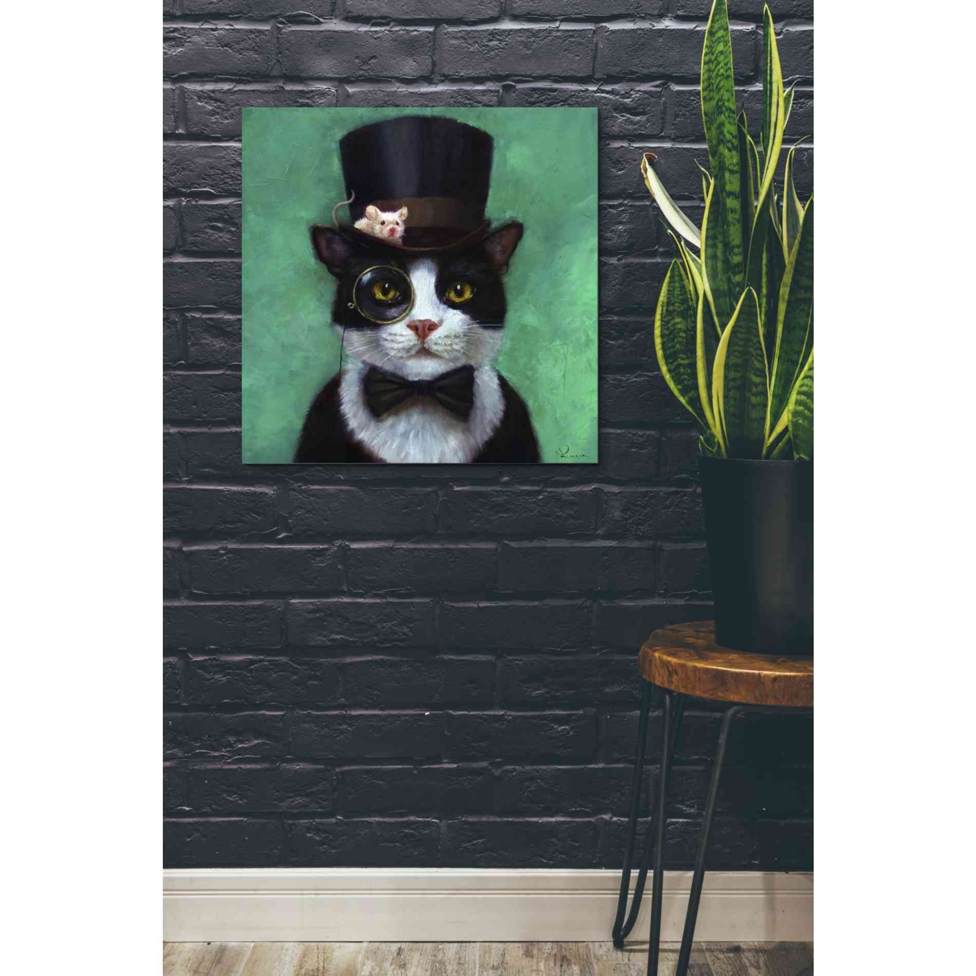 'Tuxedo Cat' by Lucia Heffernan, Canvas Wall Art,26 x 26