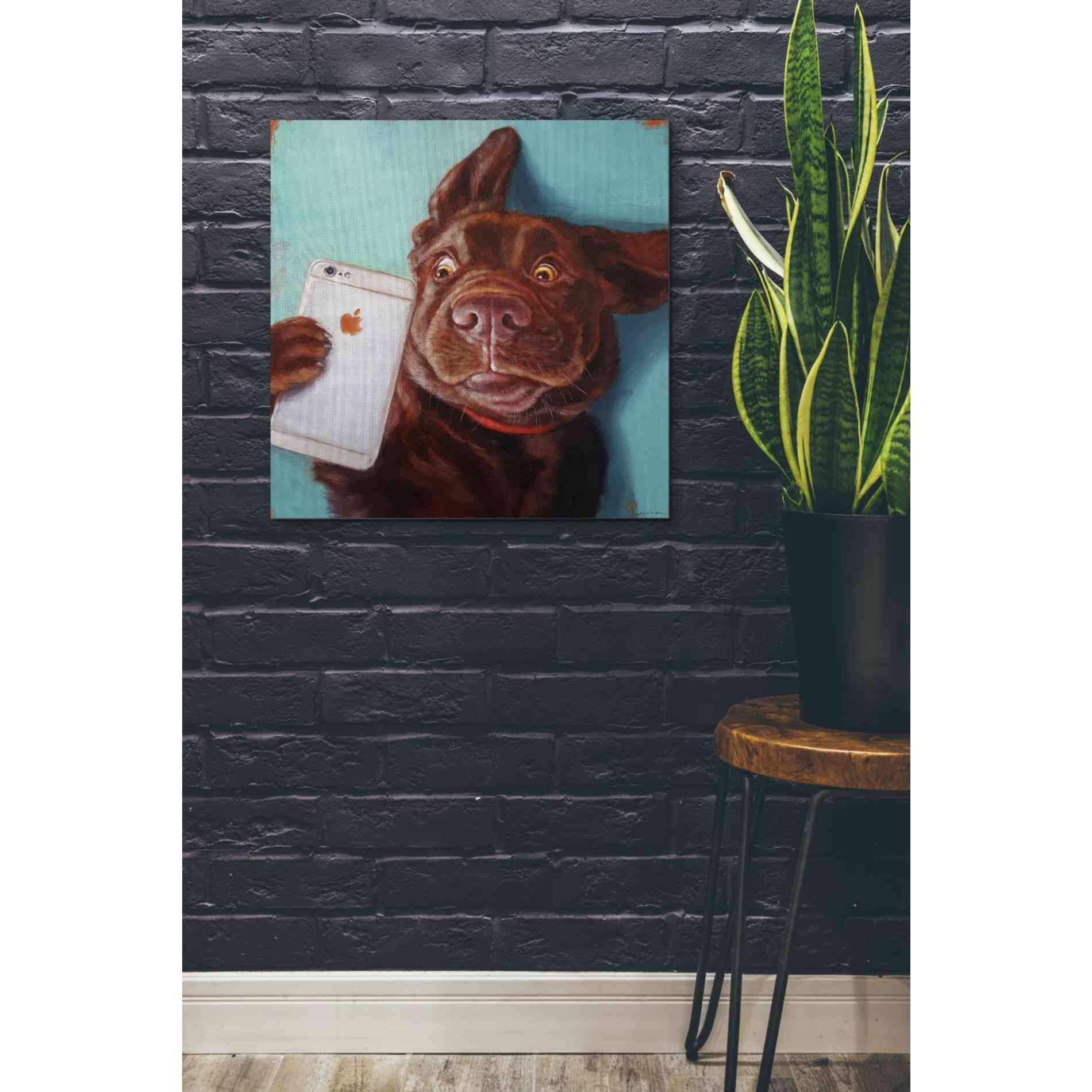'Dog Selfie' by Lucia Heffernan, Canvas Wall Art,26 x 26