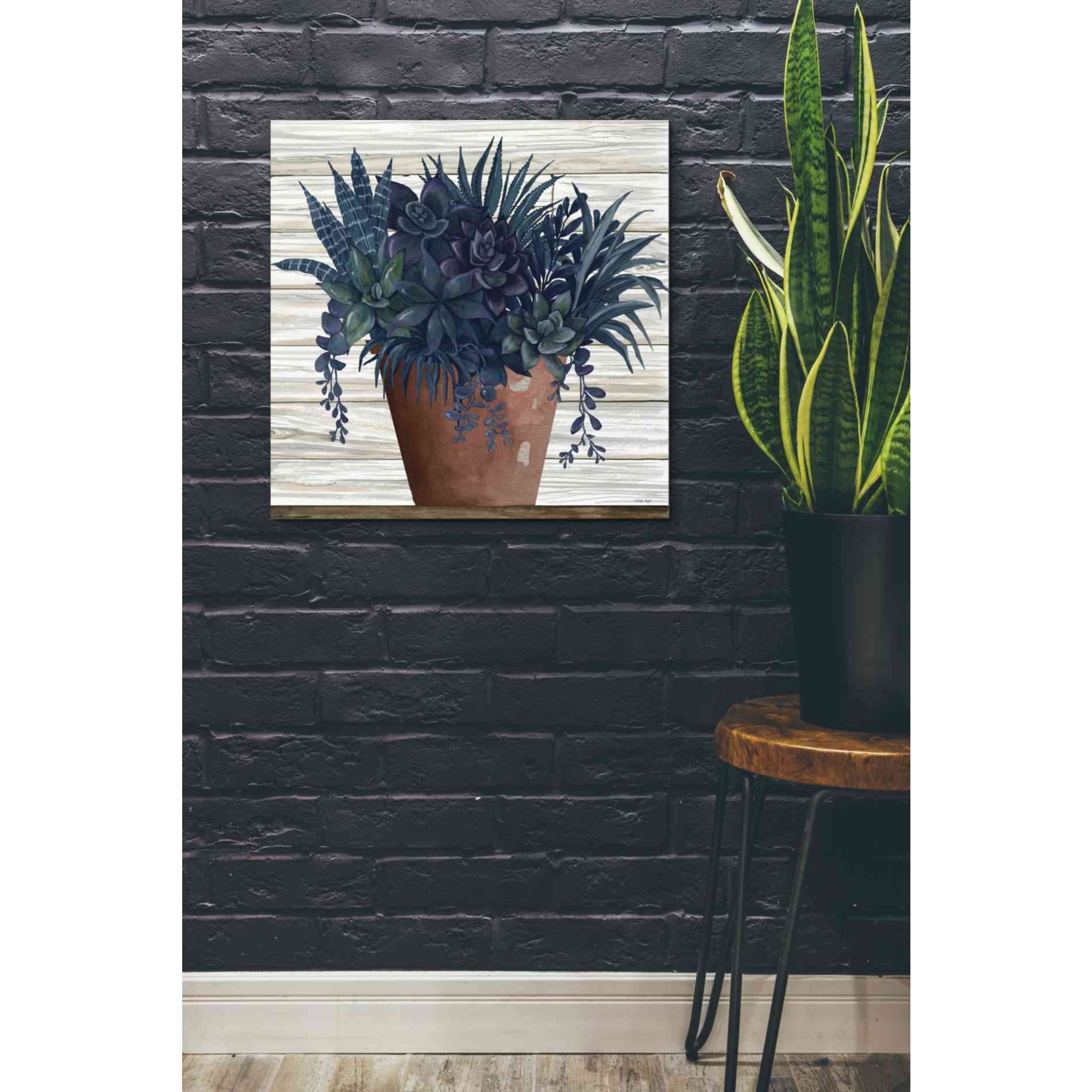'Remarkable Succulents II' by Cindy Jacobs, Canvas Wall Art,26 x 26