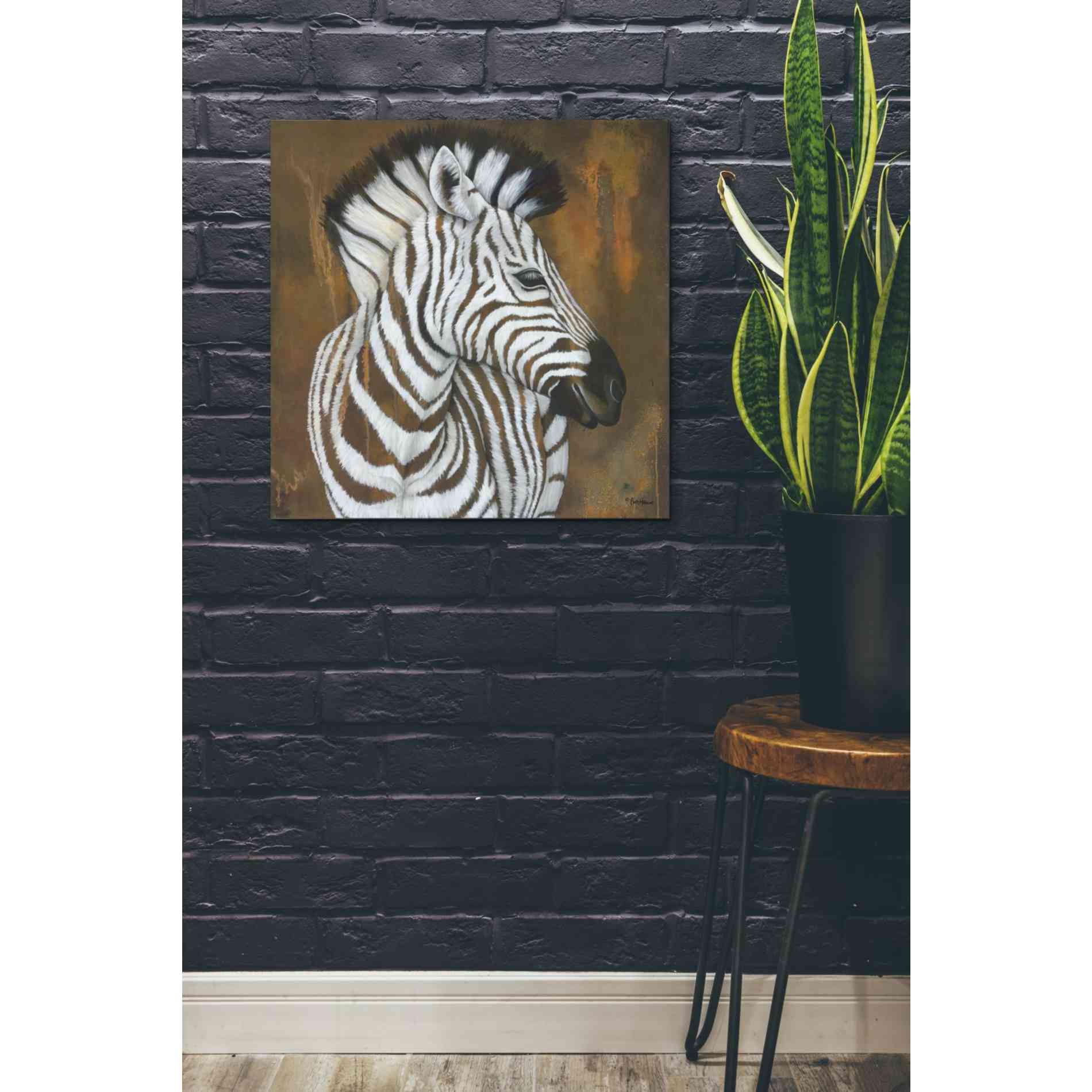 'Serengeti Rock Star' by Britt Hallowell, Canvas Wall Art,26 x 26