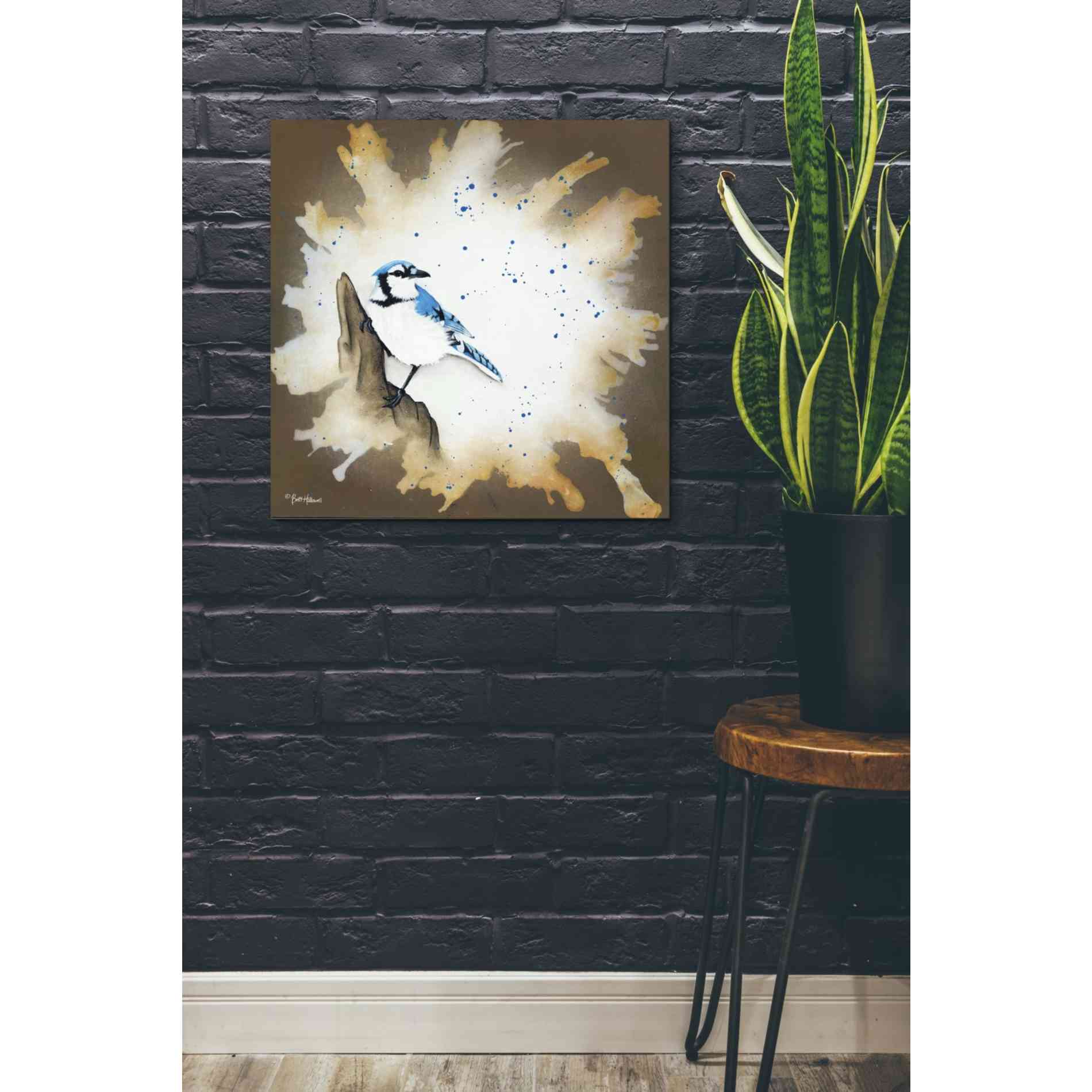 'Weathered Friends - Blue Jay' by Britt Hallowell, Canvas Wall Art,26 x 26