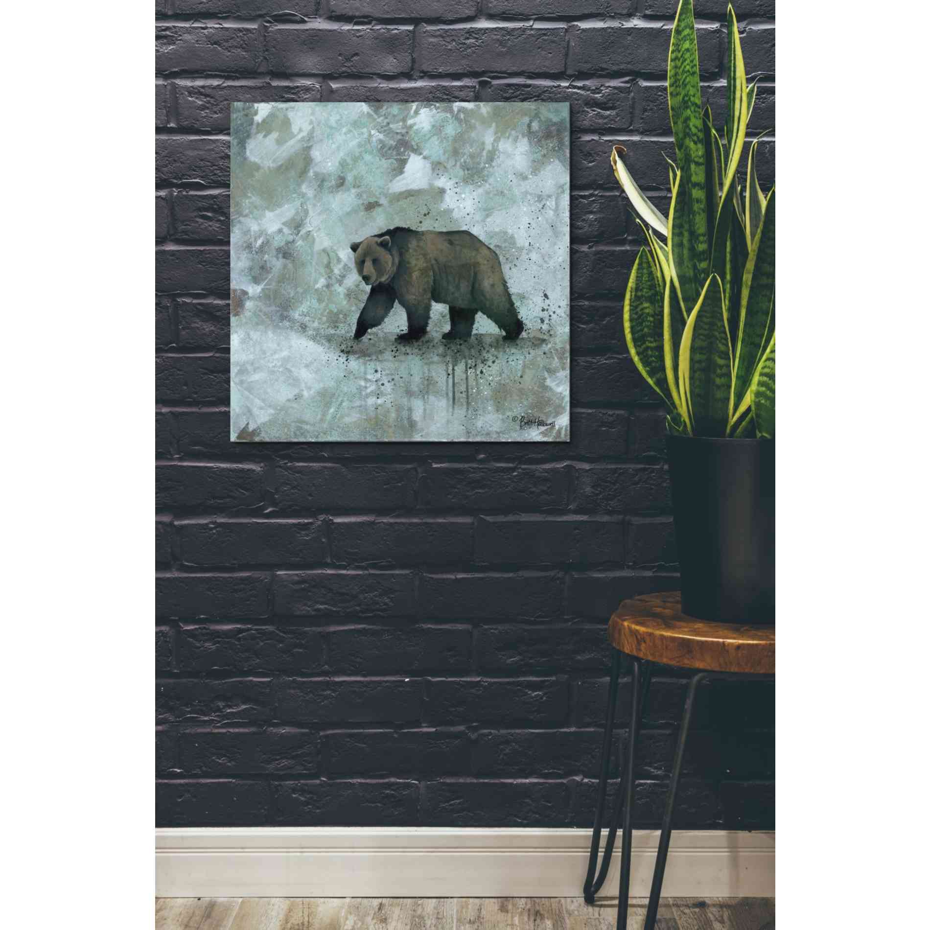 'Simplicity Bear' by Britt Hallowell, Canvas Wall Art,26 x 26
