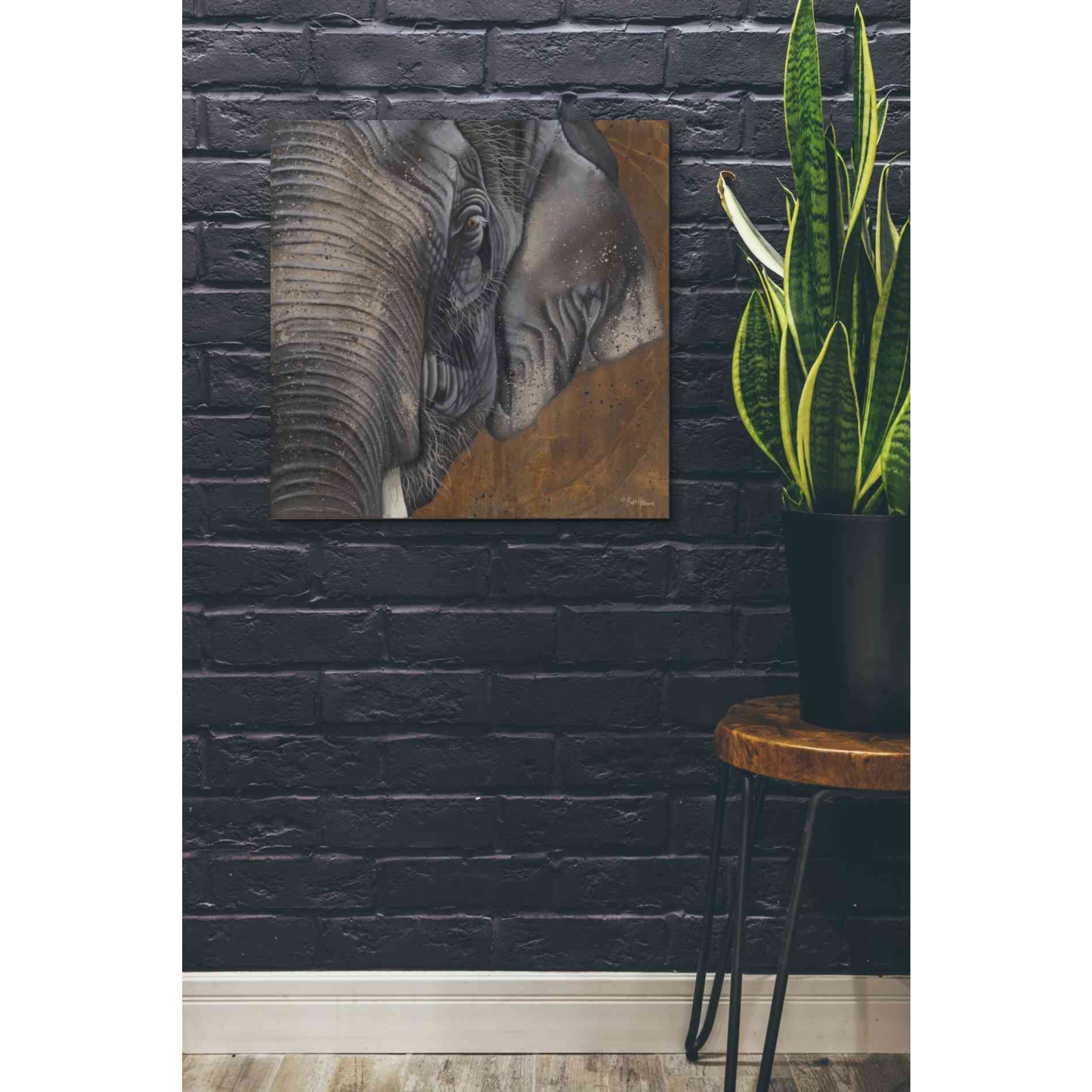 'The Gentlest Giant' by Britt Hallowell, Canvas Wall Art,26 x 26