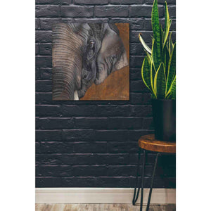 'The Gentlest Giant' by Britt Hallowell, Canvas Wall Art,26 x 26