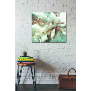 'Flood' by Anna Dittman, Canvas Wall Art,30 x 26