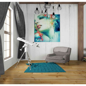 'Scale' by Anna Dittman, Canvas Wall Art,26 x 30