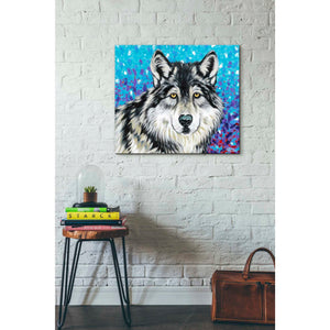'Grey Wolf II' by Carolee Vitaletti, Giclee Canvas Wall Art