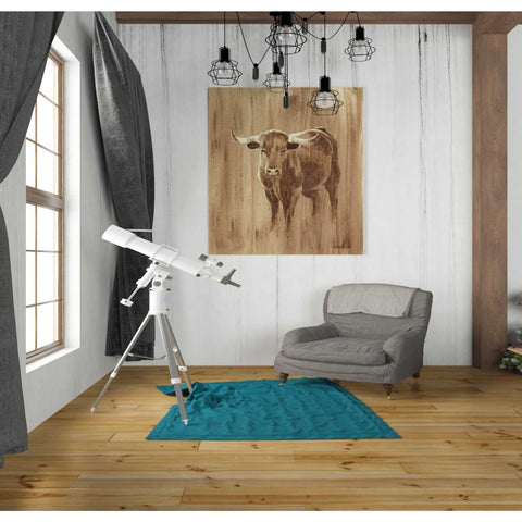 Image of 'Wood Panel Longhorn' by Ethan Harper Canvas Wall Art,26 x 30