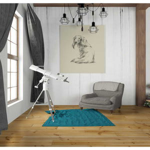 'Puppy Dog Eyes II' by Ethan Harper Canvas Wall Art,26 x 30