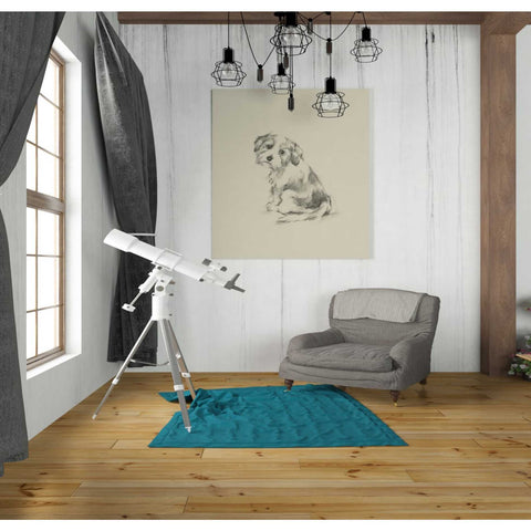 Image of 'Puppy Dog Eyes III' by Ethan Harper Canvas Wall Art,26 x 30