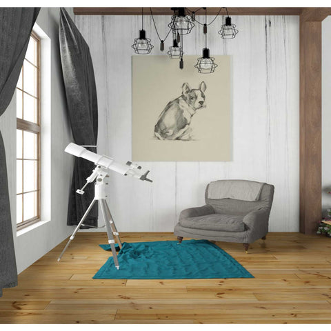 Image of 'Puppy Dog Eyes IV' by Ethan Harper Canvas Wall Art,26 x 30