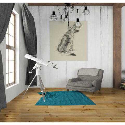 Image of 'Puppy Dog Eyes V' by Ethan Harper Canvas Wall Art,26 x 30