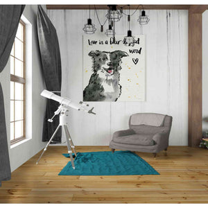 'Strike a Paws XI' by Anne Tavoletti, Canvas Wall Art,26 x 30