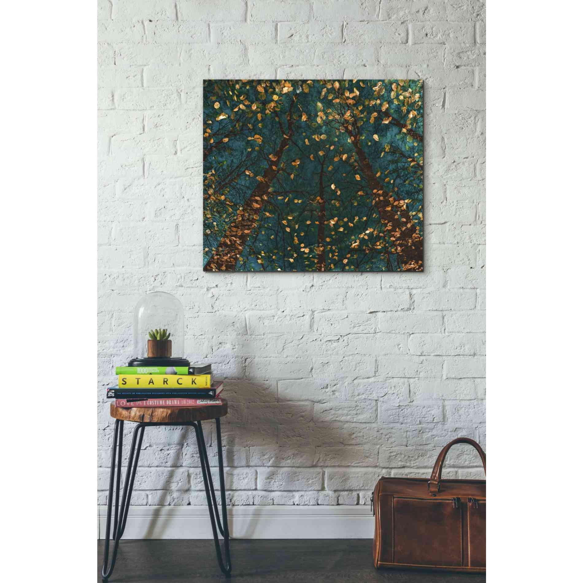 'Plato's Trees' by Lars van de Goor, Giclee Canvas Wall Art