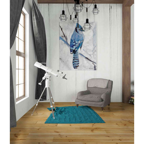 Image of 'Blue Jay 1' by Stellar Design Studio, Canvas Wall Art,26 x 34