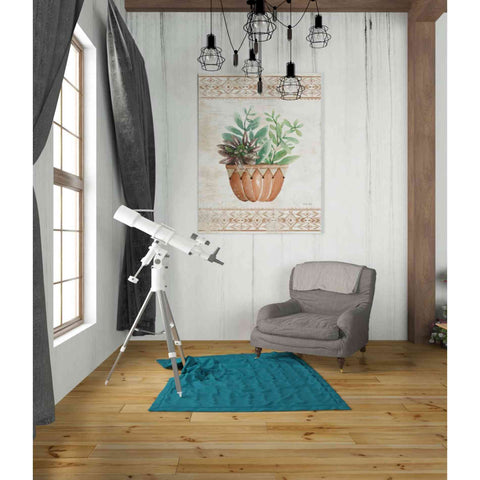 Image of 'Southwest Terracotta Succulents I' by Cindy Jacobs, Giclee Canvas Wall Art