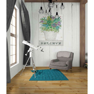 'Believe Succulents' by Cindy Jacobs, Canvas Wall Art,26 x 34